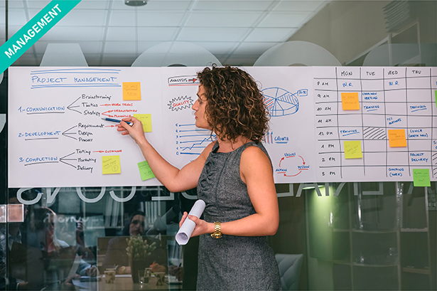 Réussir le management de projet : guide du gestionnaire